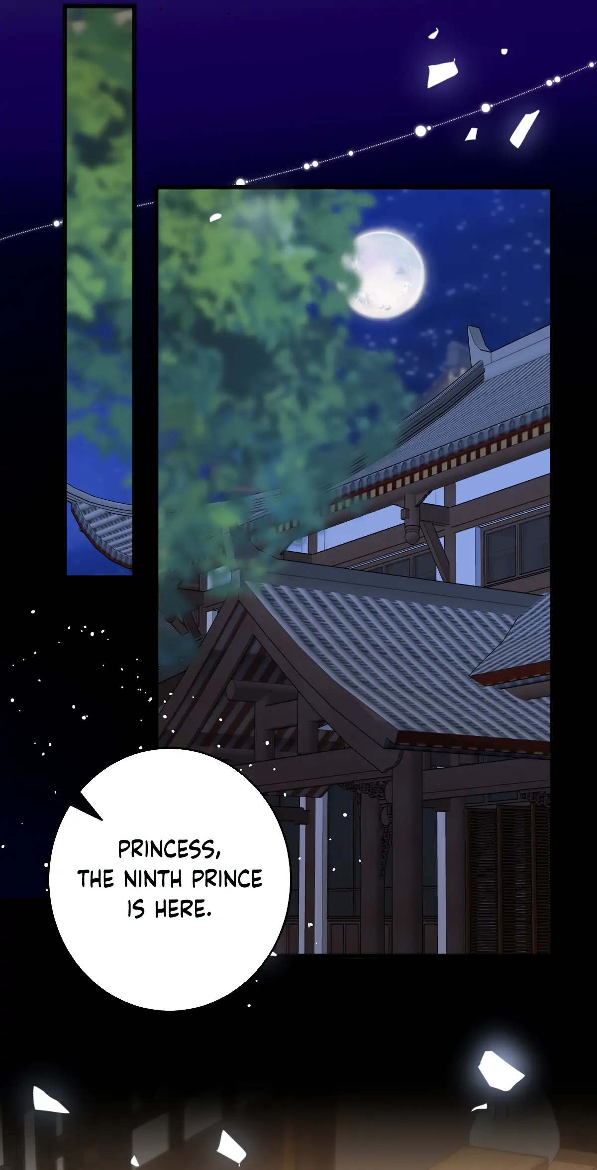 88967795 1200 2350 82056