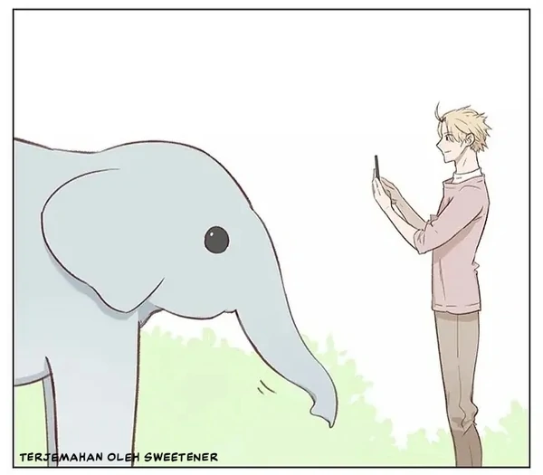 Tinylephant Loveyou